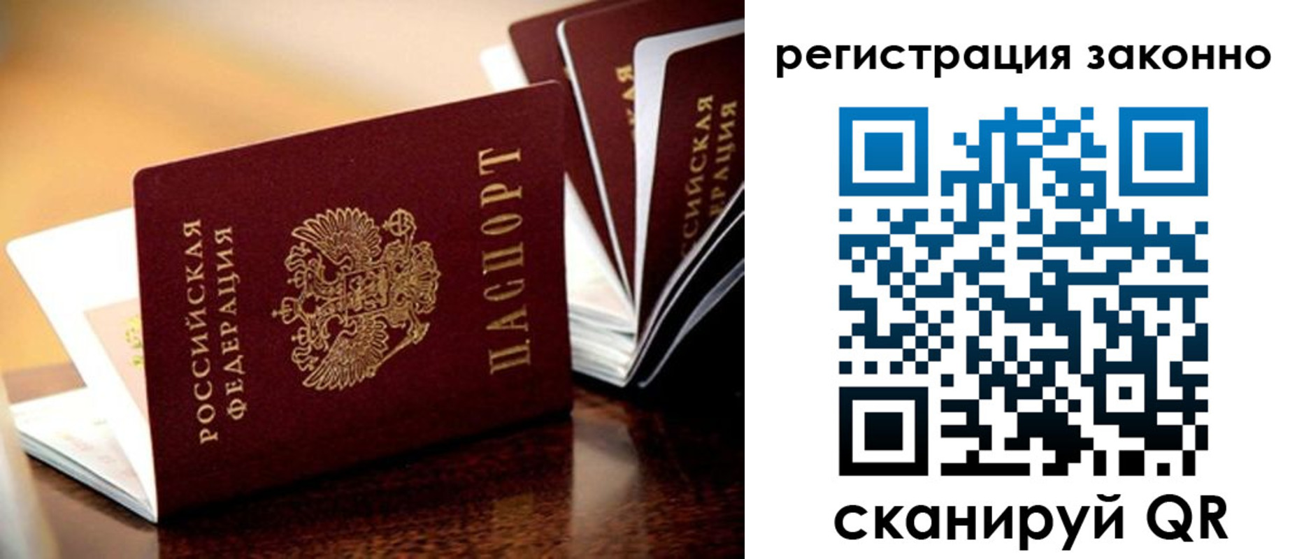 прописка для школы в Жукове